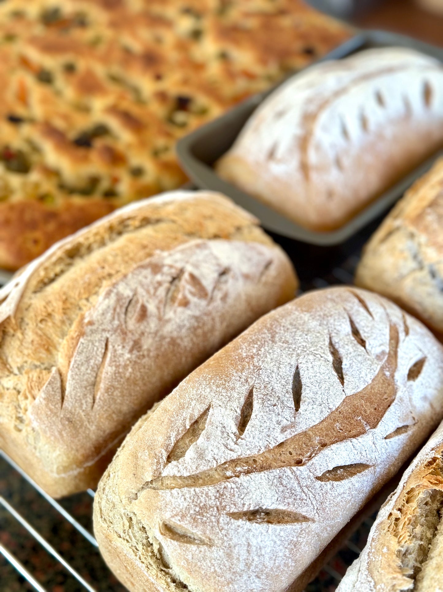 Dehydrated Sourdough Starter