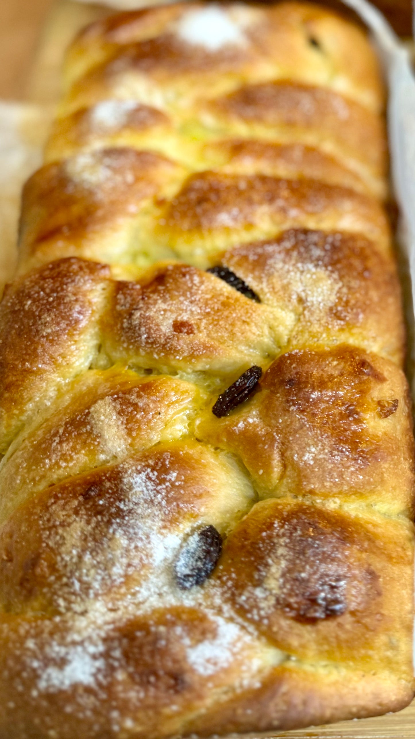 Raisin Brioche