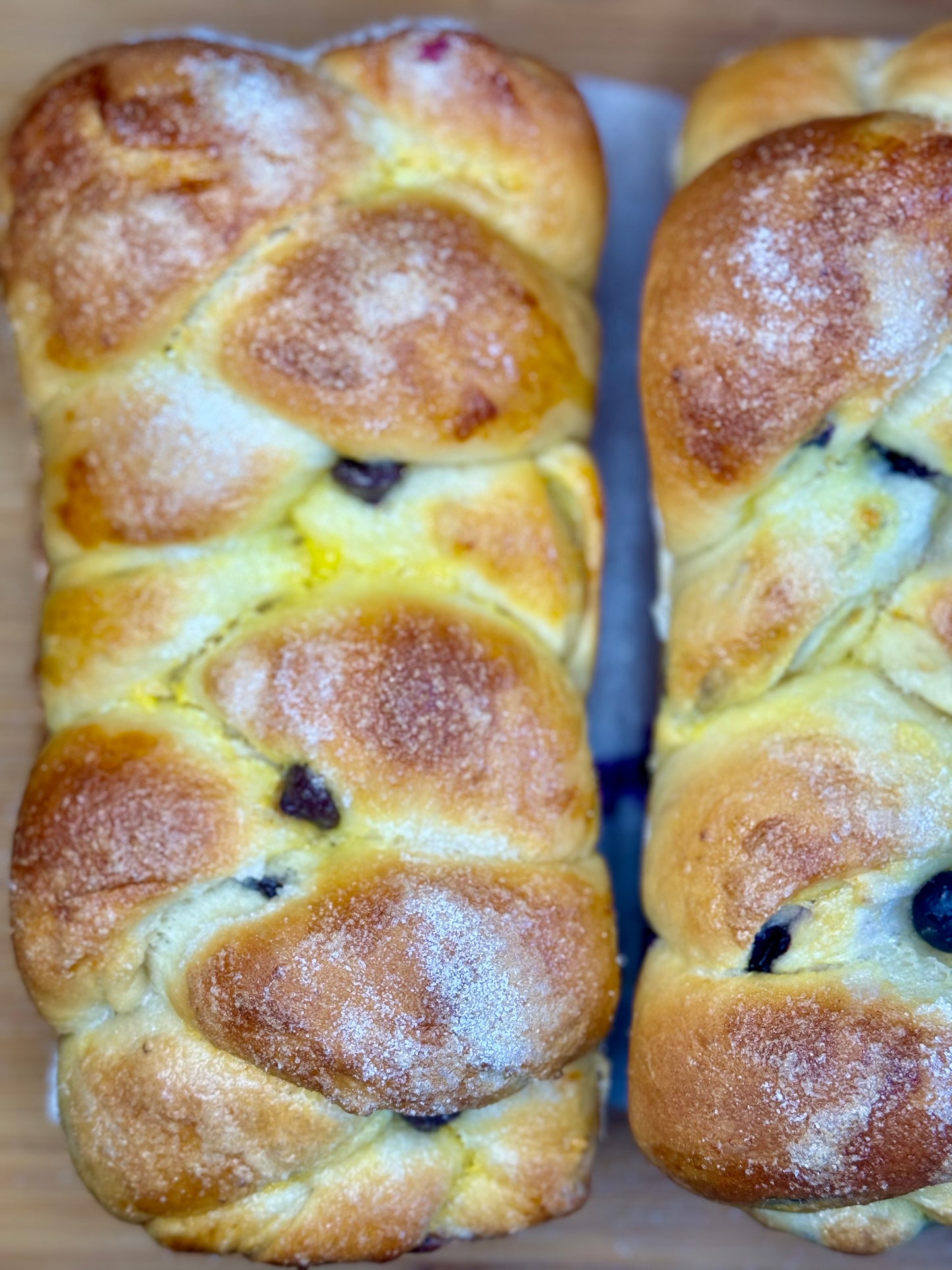 Raisin Brioche