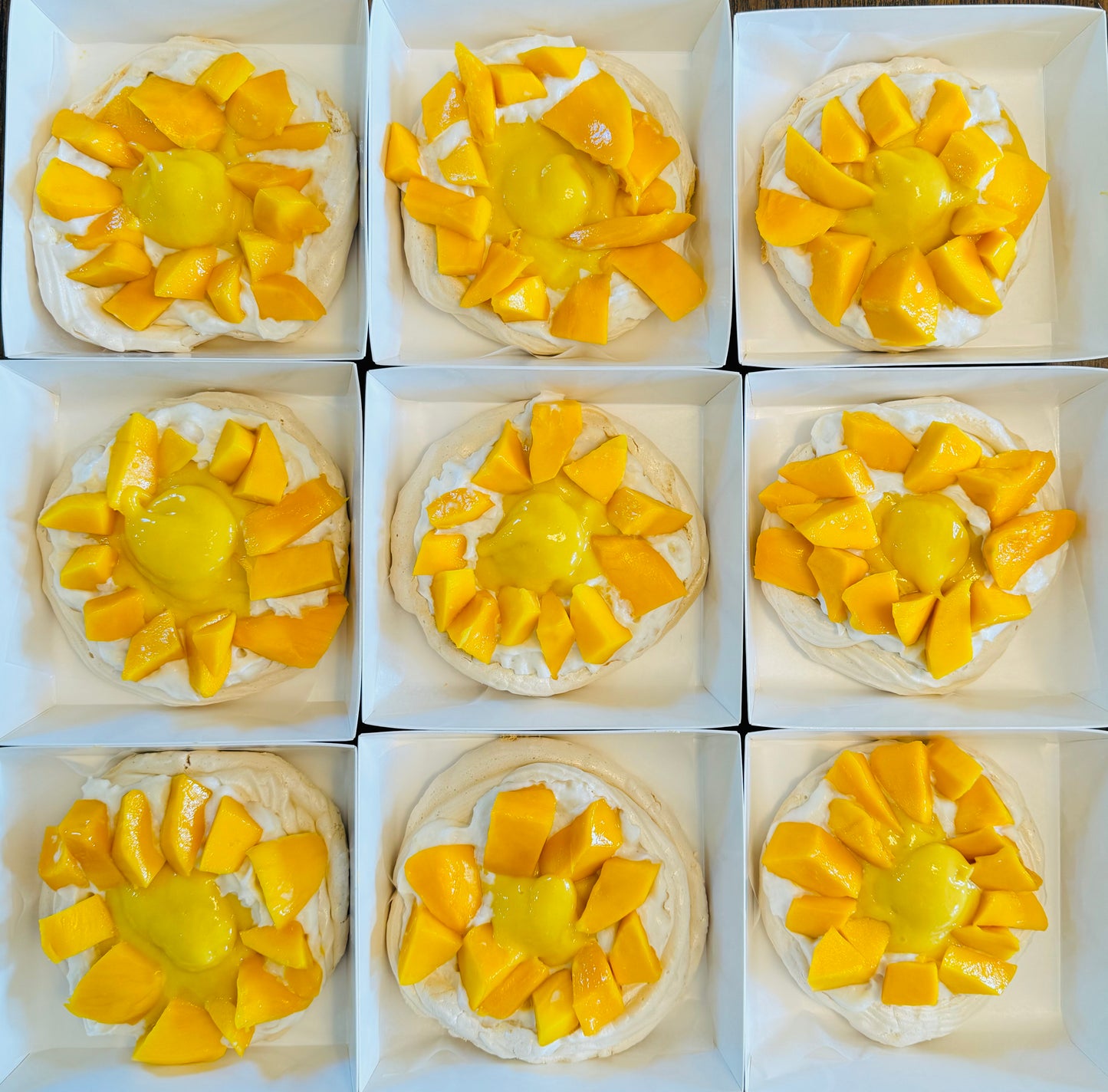 Mango Pavlova