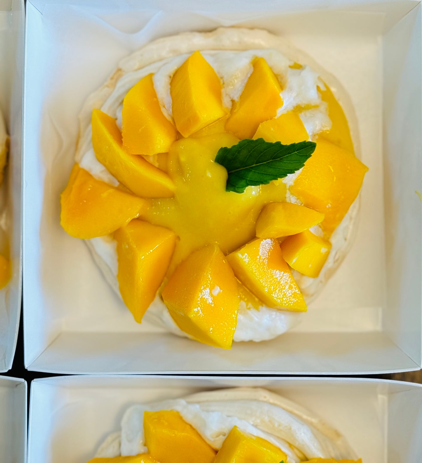 Mango Pavlova