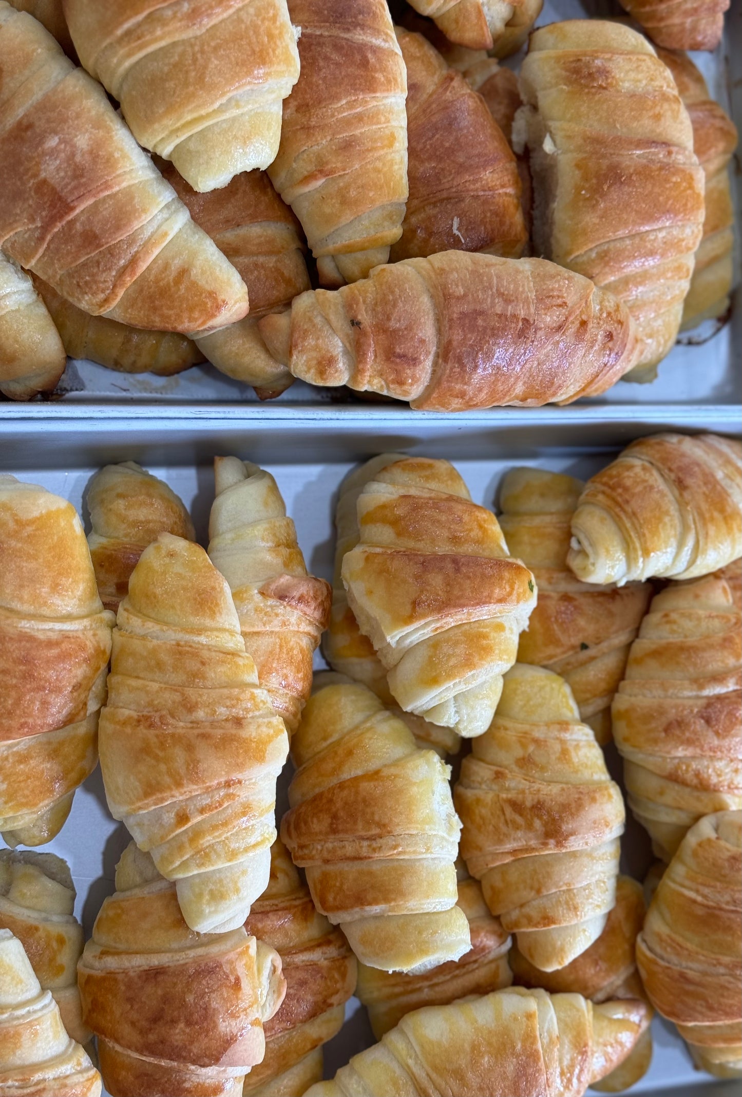 Feta Parsley Rolls