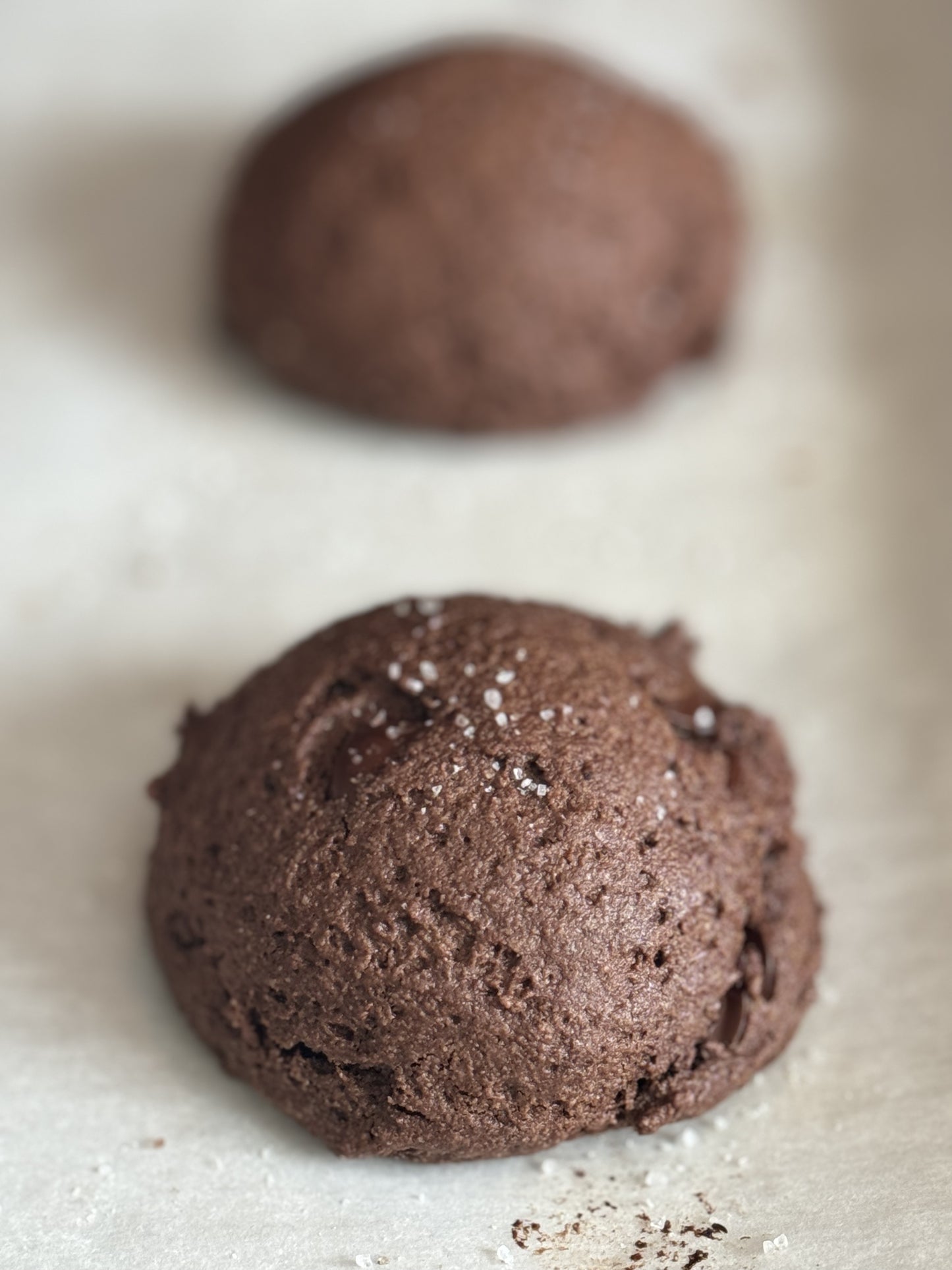 Double Chocolate Cookies (Gluten Free & Dairy Free)